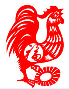 rooster