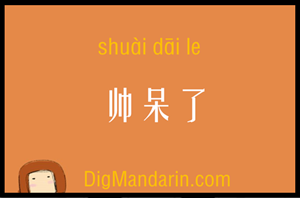 SHUAIDAILE